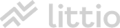 Logotipo web littio